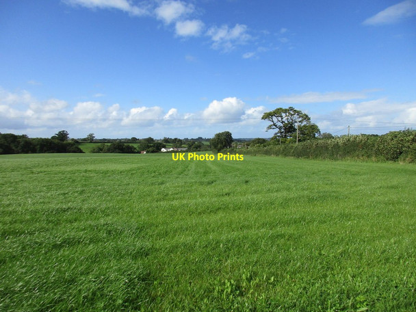 Photo 6"x4" Grass field at Melbury Osmond Drive End c2017