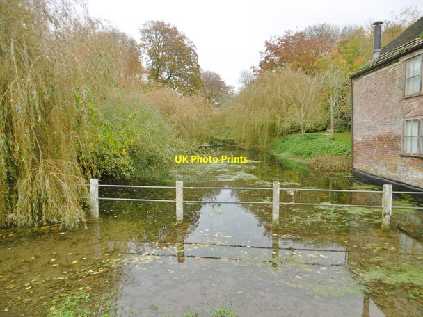 Photo 6"x4" Cerne Abbas, pond Cerne Abbas c2017