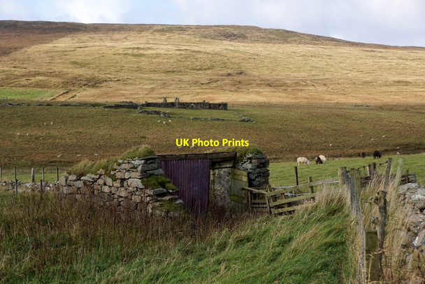 Photo 6"x4" Old shed at Scraefield, Baliasta, Baltasound Baliasta\/HP6009 c2017