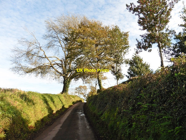 Photo 6"x4" Long Lane Tiverton\/SS9512 c2017
