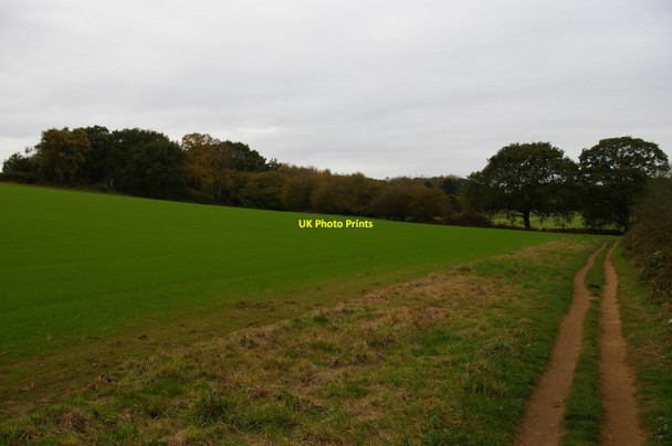 Photo 6"x4" Suffolk Coast Path at Iken Cliff Gromford c2017