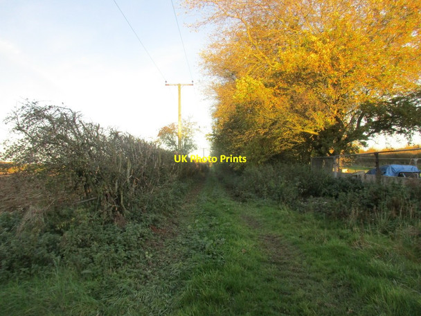 Photo 6"x4" Bridleway to Rolston Rolston c2017