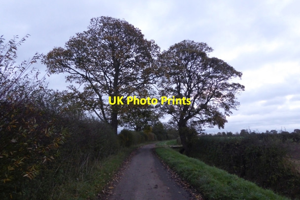 Photo 6"x4" Low Lane Heslington c2017