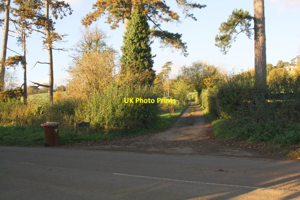 Photo 6"x4" Track to 'Firs Hill' from Tadmarton Road Lower Tadmarton c2017
