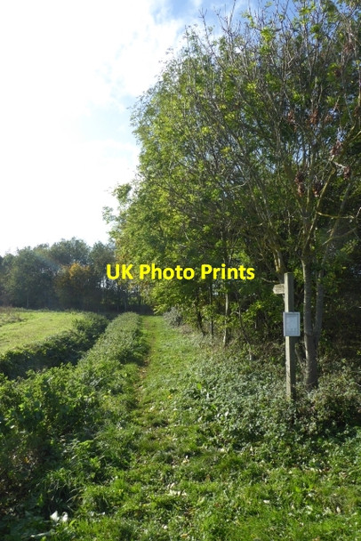 Photo 6"x4" Footpath off Marsh Lane Cawood c2017