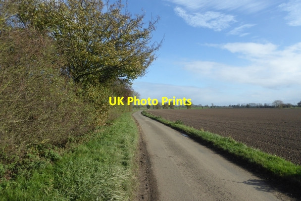 Photo 6"x4" Hedgerow along Ings Lane Kelfield\/SE5938 c2017