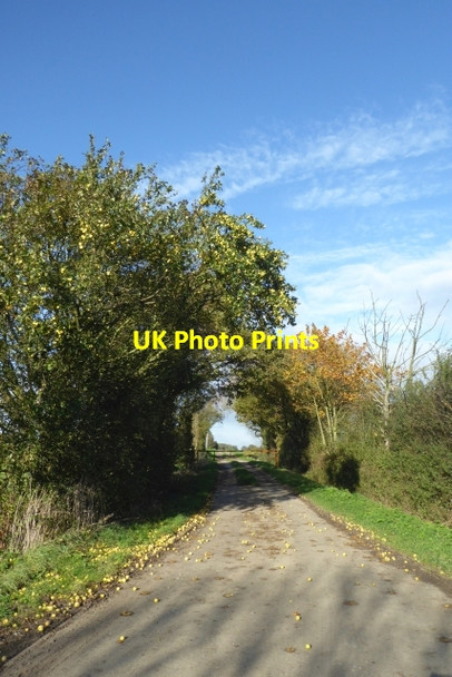 Photo 6"x4" Apples on a track Kelfield\/SE5938 c2017