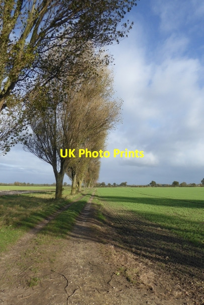 Photo 6"x4" Whinny Lane Kelfield\/SE5938 c2017
