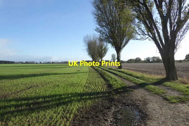 Photo 6"x4" Bridleway to Kelfield Kelfield\/SE5938 c2017