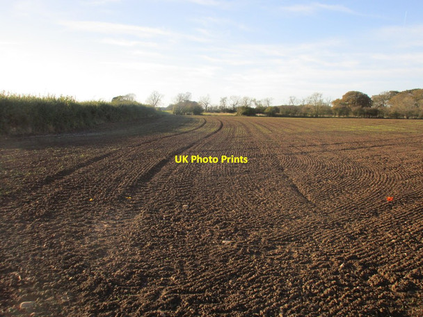 Photo 6"x4" Autumn sown crop near Goxhill Seaton\/TA1646 c2017