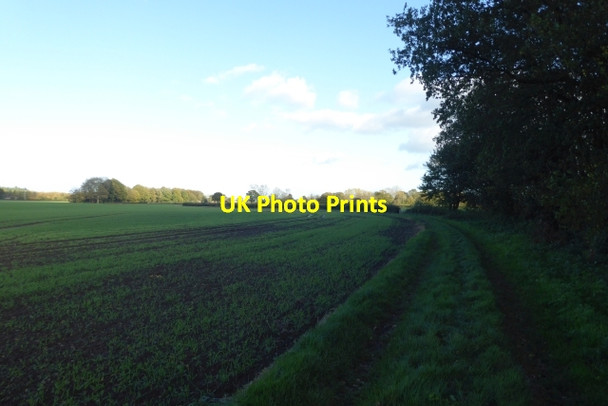 Photo 6"x4" Bridleway at Woodlands Farm Deighton\/SE6244 c2017