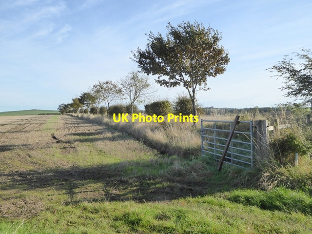 Photo 6"x4" Field boundary near Grindon Grindon\/NT9144 c2017