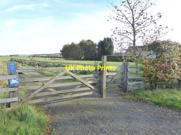 Photo 6"x4" Gate on the Pennine Cycleway Duddo c2017