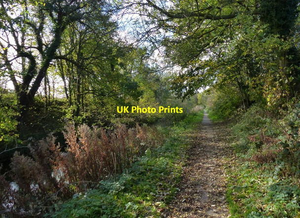 Photo 6"x4" Towpath along the Grantham Canal Harlaxton c2017