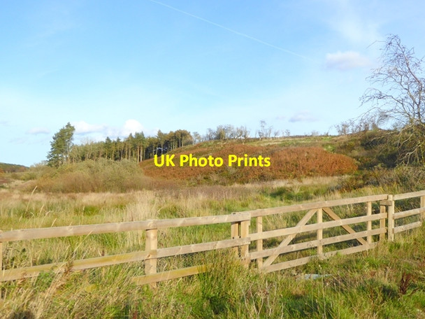 Photo 6"x4" Valley of the Dean Burn Duddo c2017