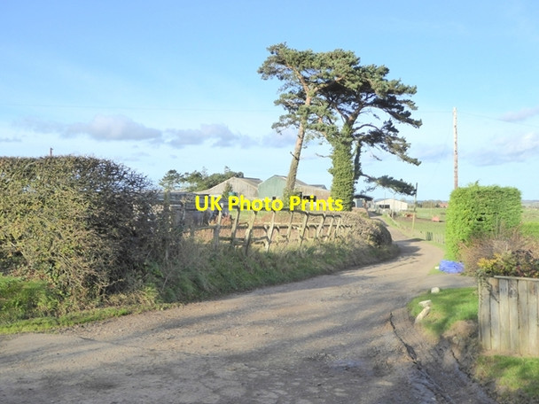 Photo 6"x4" Driveway to Bowsden Moor Farm Felkington c2017