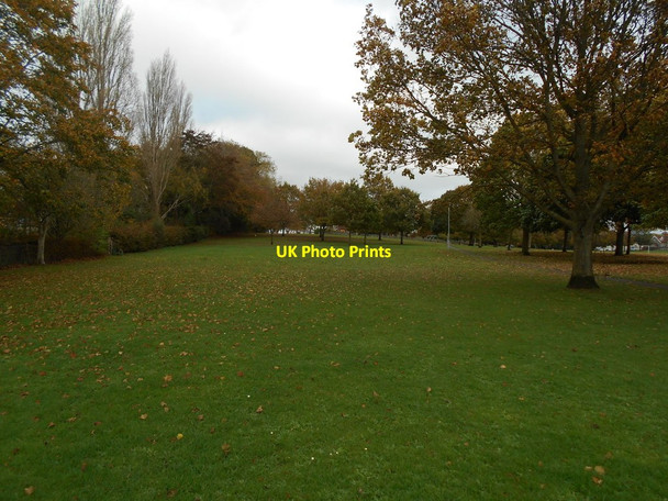 Photo 6"x4" A little bit of green Street\/ST4836 c2017