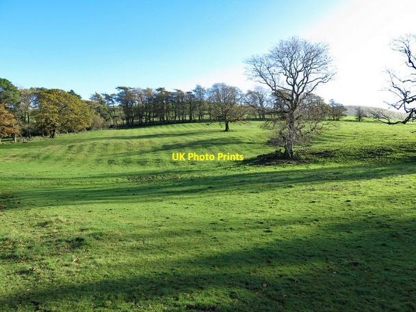Photo 6"x4" Field near Lowthwaite Longlands\/NY2635 c2017