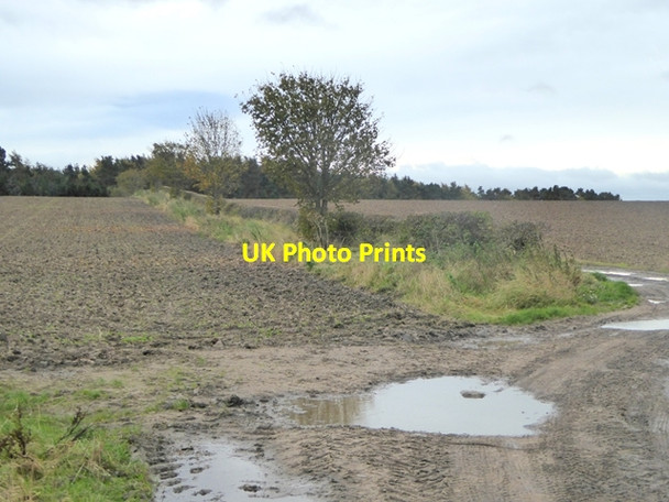 Photo 6"x4" Newly-cultivated fields at Simprim Mains Swinton Hill c2017