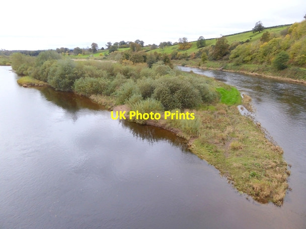 Photo 6"x4" Canny Island Ladykirk\/NT8847 c2017