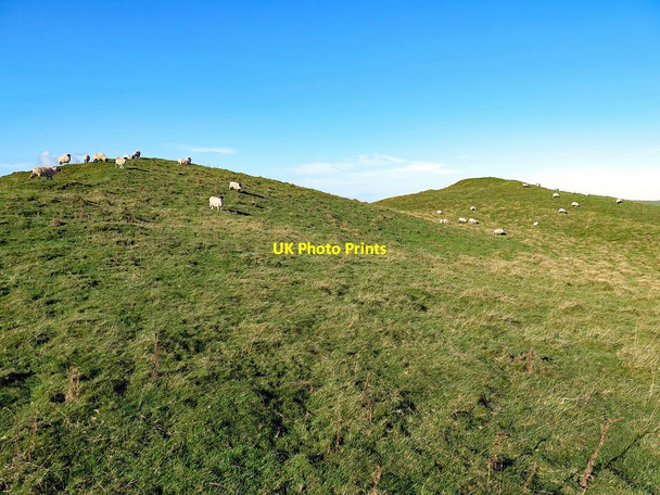 Photo 6"x4" Dale Hows, Aughertree Fell Aughertree c2017