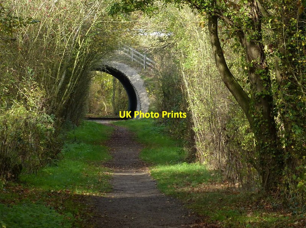 Photo 6"x4" National Cycle Route 15 Stenwith c2017