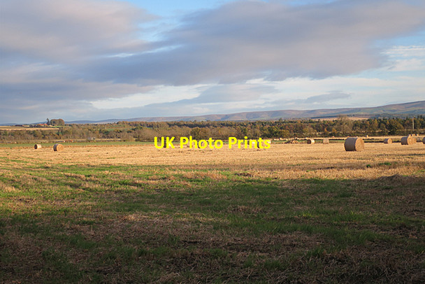 Photo 6"x4" Field with Bales Tranent c2017
