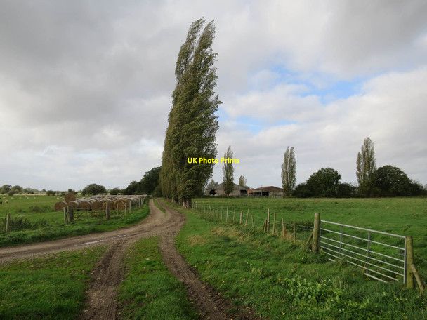 Photo 6"x4" Path to Priory Farm Wormegay c2017