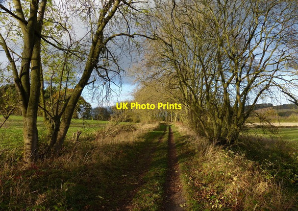 Photo 6"x4" Former railway line near Denton Denton\/SK8632 c2017