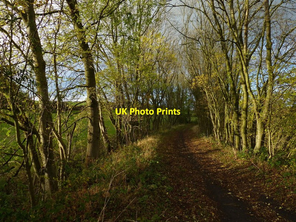 Photo 6"x4" National Cycle Route 15 Denton\/SK8632 c2017