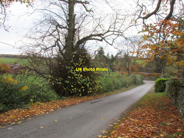 Photo 6"x4" Lane at Kirkton Kirkton\/NT5413 c2017