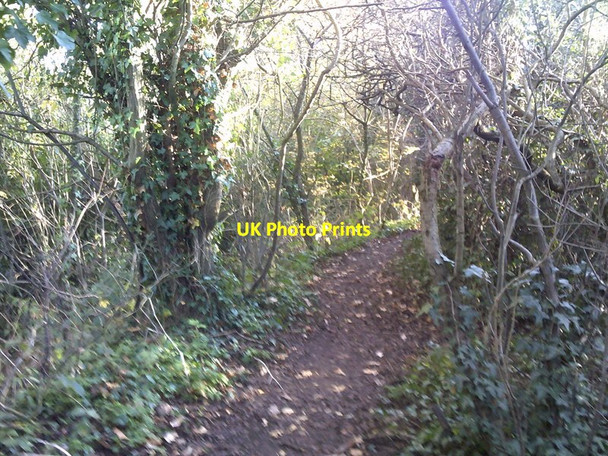 Photo 6"x4" Bridge Path Ounsdale c2017