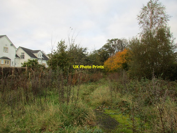Photo 6"x4" Path to Helenslee Road Dumbarton c2017