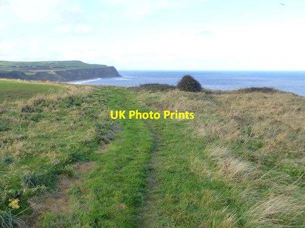 Photo 6"x4" Coast path at Hummersea Point Loftus c2017