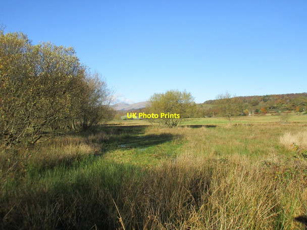 Photo 6"x4" Marshy land off Moss Road Craigendoran c2017