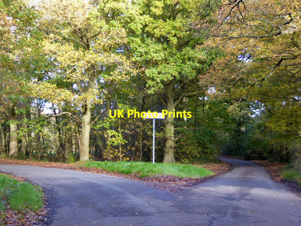 Photo 6"x4" Splitting junction, Woodside Lane Hatfield\/TL2207 c2017
