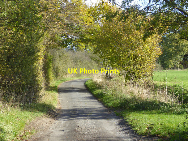 Photo 6"x4" Coltsfoot Lane Bull's Green\/TL2717 c2017