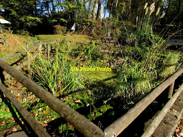 Photo 6"x4" Village pond, Llangattock Lingoed Llangattock Lingoed c2017