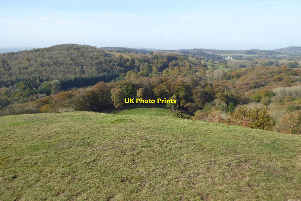 Photo 6"x4" A view over Eastnor Chase End Street c2017