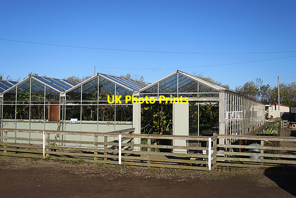 Photo 6"x4" Secret Herb Garden Loanhead\/NT2765 c2017