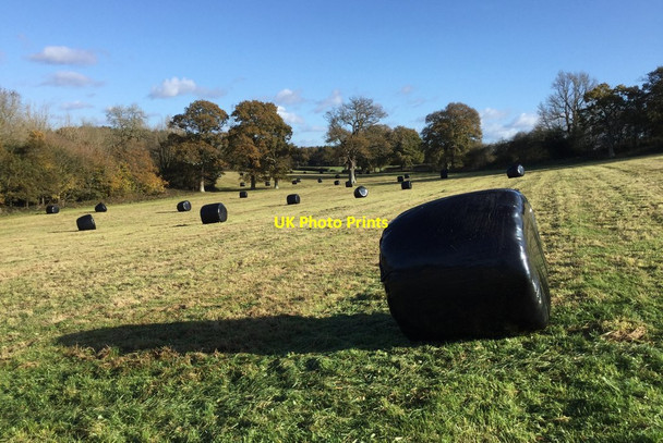 Photo 6"x4" Bales in the field near Lunces Hall Burgess Hill c2017