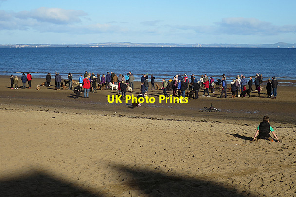 Photo 6"x4" Portydoodle Gathering Craigentinny c2017