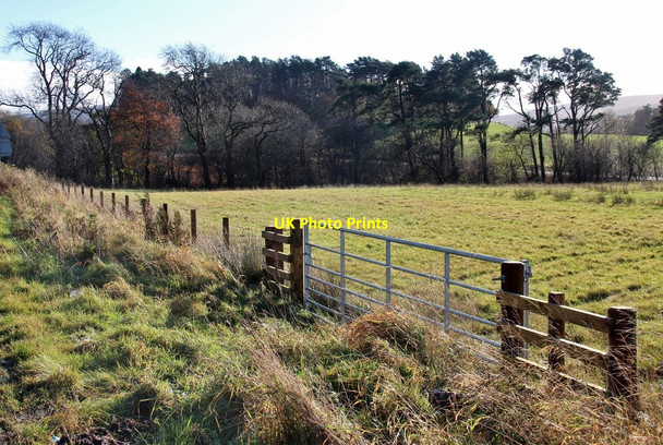 Photo 6"x4" Field at Toll Plantation Smallburn\/NS6826 c2017