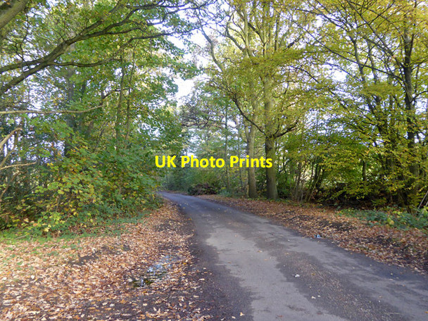 Photo 6"x4" Woodside Lane Hatfield\/TL2207 c2017