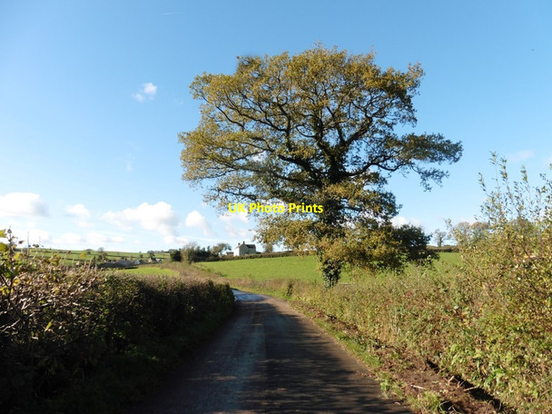 Photo 6"x4" Minor road to Stockland Stockland\/ST2404 c2017
