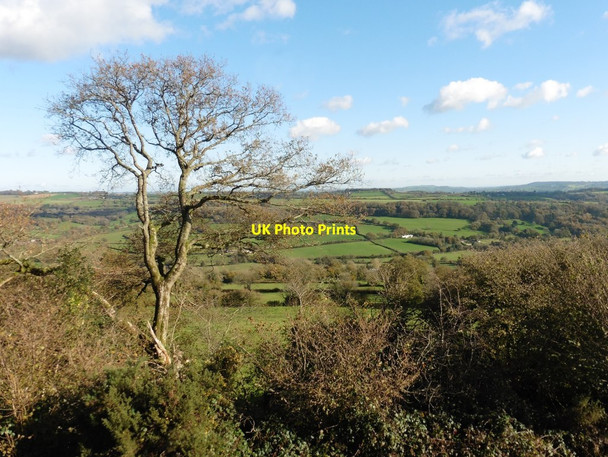 Photo 6"x4" View over the Yarty valley Membury\/ST2703 c2017
