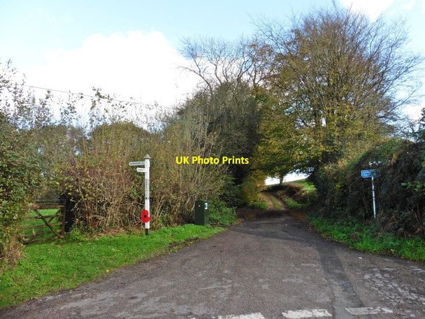 Photo 6"x4" Danes Hill Cross Dalwood c2017