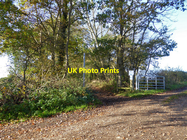Photo 6"x4" Public byway west from West End Lane West End\/TL2608 c2017