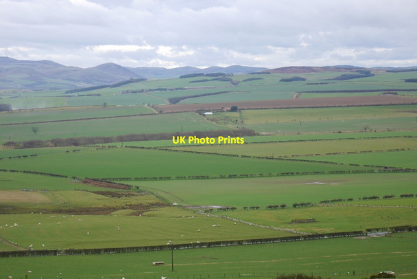 Photo 6"x4" View from Lyham Hill Greendykes\/NU0628 c2017