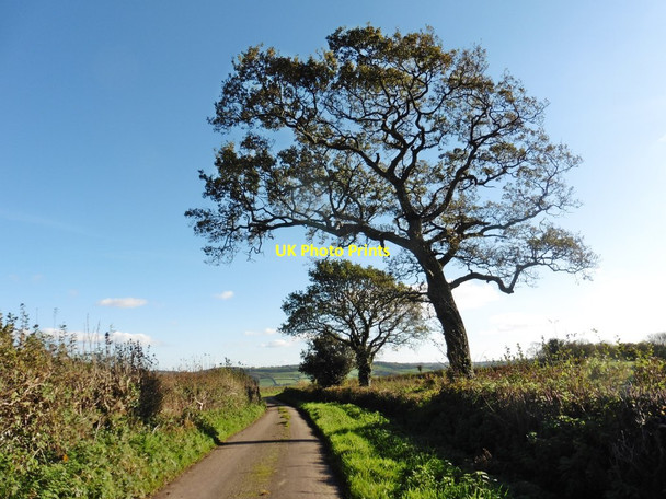 Photo 6"x4" Lane to Hampton Hampton\/SY2696 c2017